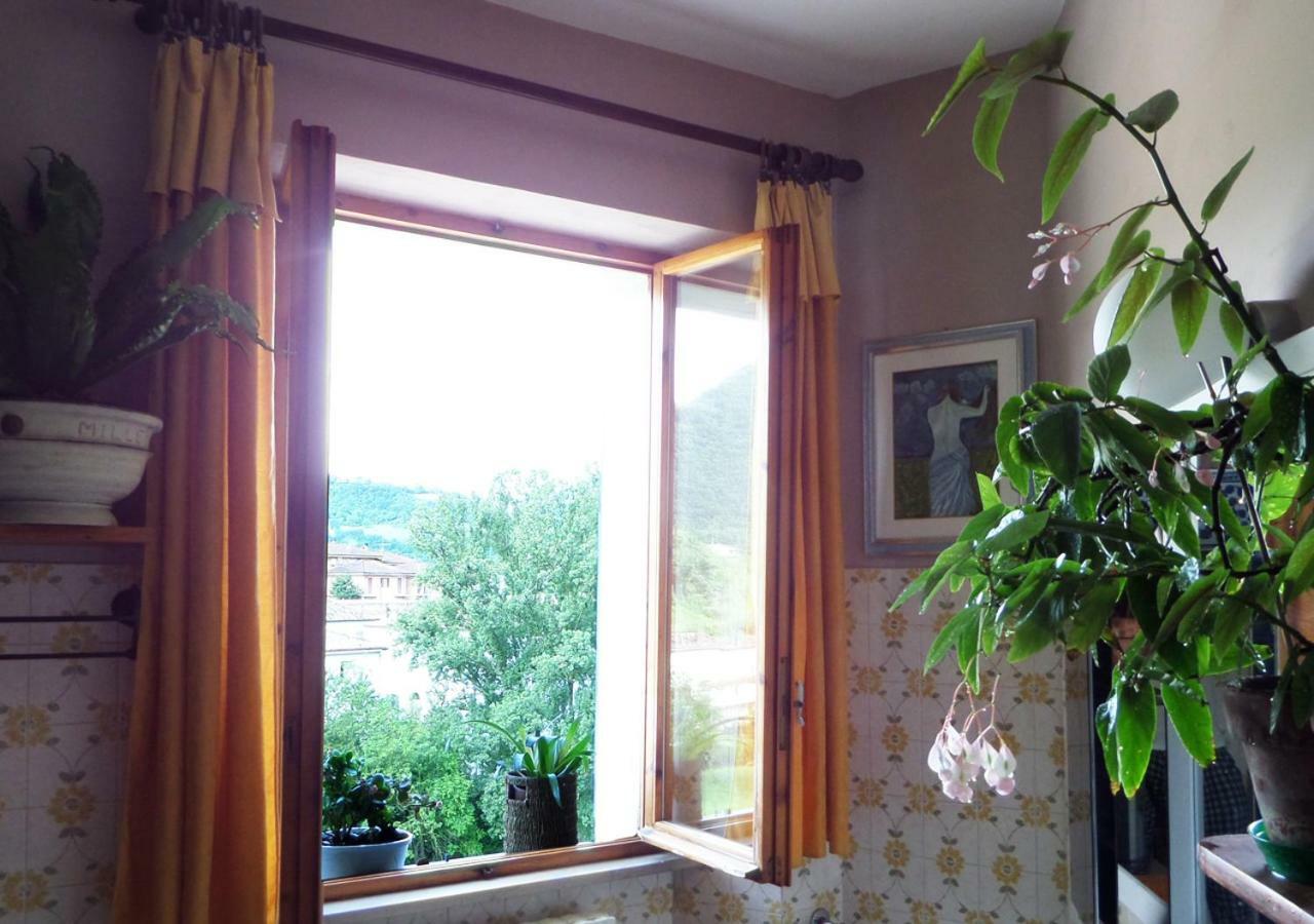 La Finestra Sul Fiume Bed & Breakfast Fossombrone Exterior photo